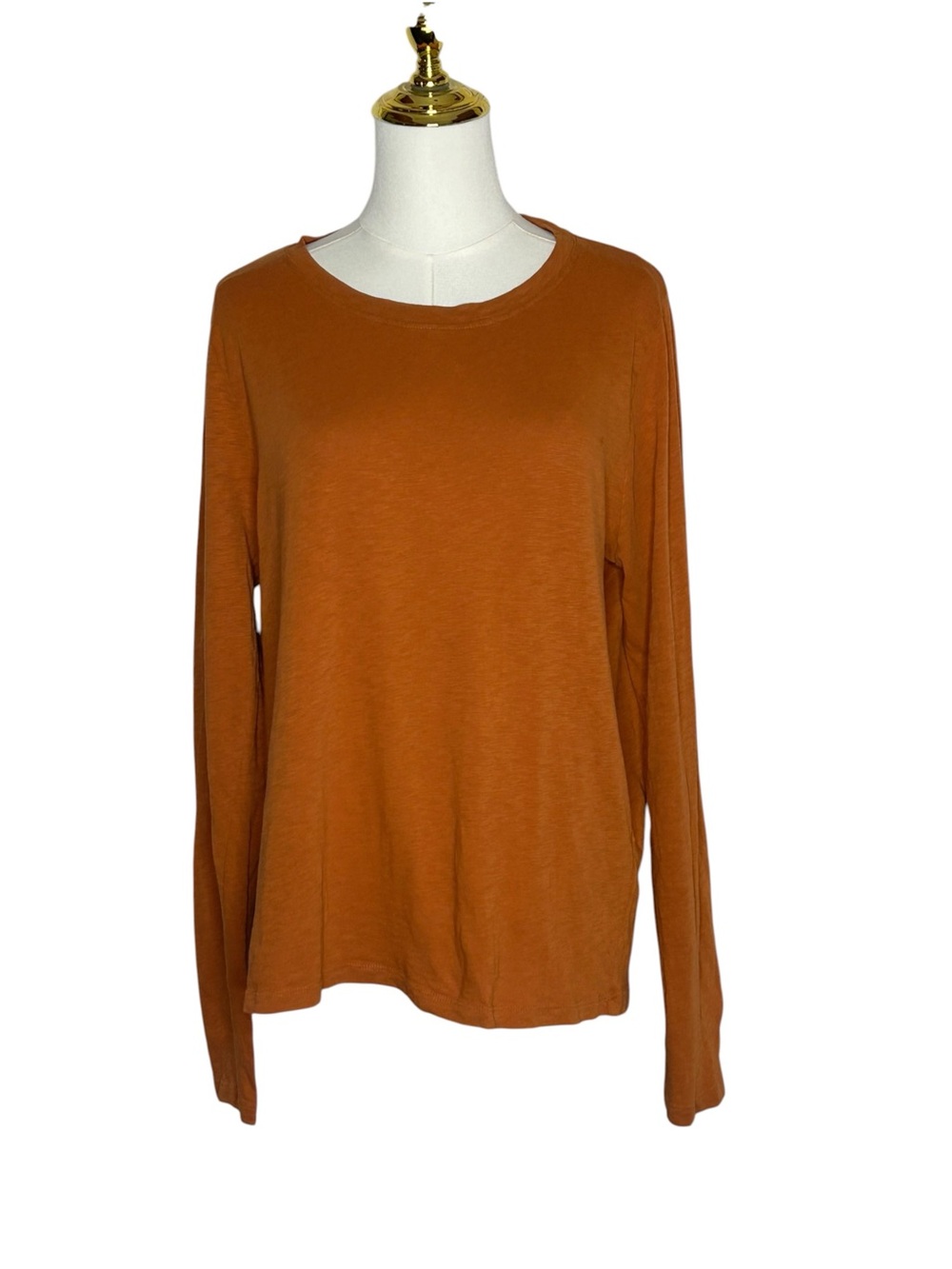 J. Crew Girlfriend Tee Long Sleeve Crewneck Top Autumncore Sz L Preppy Earthy